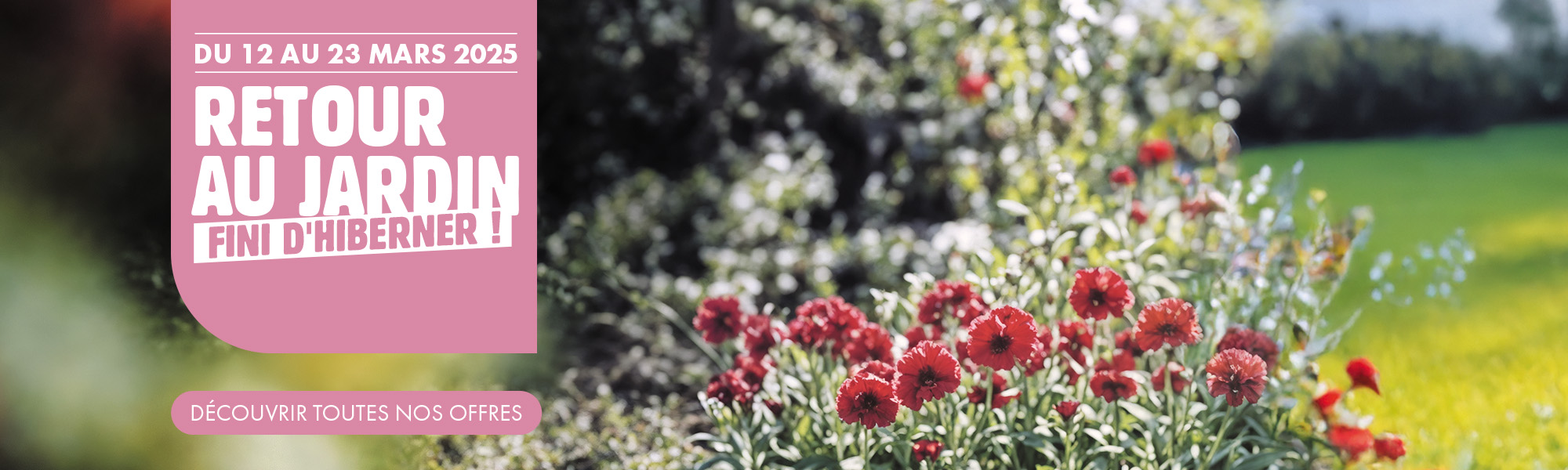 Retour au jardin - Magasin Vert & Point Vert 