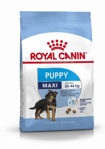 Croquettes pour chien - Royal Canin - Maxi Junior - 4 kg