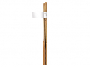 Tuteur bambou naturel x6 - Nortene - 60 cm