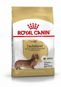 Aliment chien - Royal Canin - Dachshund Teckel - 1,5 kg