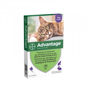 Solution anti-puces pour chats et lapins 80 - Advantage - 4kg et plus - x4