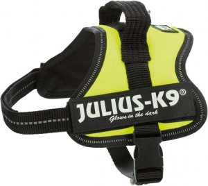 Julius - Mini-Mini/XS: 40–53 cm/22 mm, vert fluo
