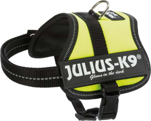 Julius - Baby 2/XXS: 33–45 cm/18 mm, vert fluo