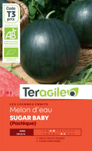 Melon d'eau Sugar baby bio - Graines - Teragile