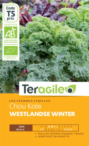Chou kale Westland se winter bio - Graines - Teragile