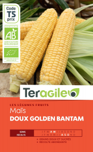 Maïs doux golden bantam bio - Graines -Teragile
