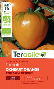 Tomate oxheart orange bio - Graines - Teragile