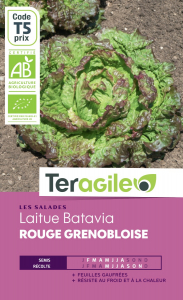 Laitue batavia rouge grenobloise bio - Graines - Teragile