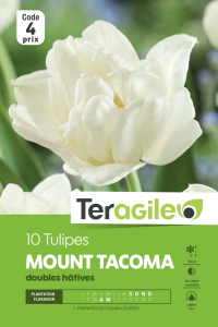 Tulipe double Mount Tacoma - Calibre 12/+ - X10