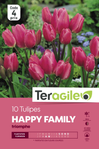 Tulipe bouquet Happy Family - Calibre 12/+ - X10