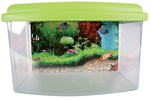Aqua Travel Box II 22 cm Zolux - Boite de transport pour poissons