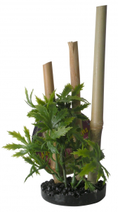 Plante Bambou support noir