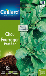 Chou fourrager Proteor - Graines - Caillard - Sachet éco