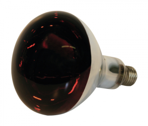 Lampe infrarouge en verre trempé - 250 W - Rouge