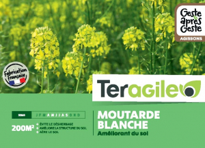 Moutarde blanche 500gr - Teragile