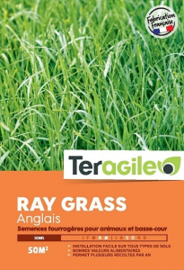 Ray grass anglais 500gr - Teragile