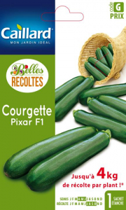 Courgette Pixar hybride F1 - Graines - Caillard