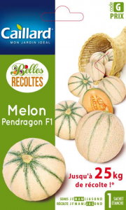 Melon pendragon hybride F1 - Graines - Caillard