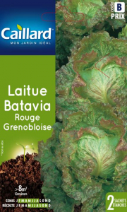 Laitue batavia rouge Grenobloise - Graines - Caillard