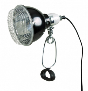 Lampe réflecteur à pince - Reptiland - 100 W