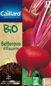 Bettrave d'égypte - Bio - Graines - Caillard