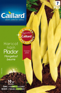 Haricot nain mangetout Beurre Plador - Graines - Caillard