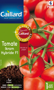 Tomate ikram hybride F1 - Graines - Caillard