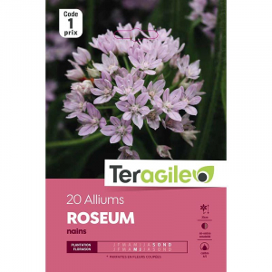 Allium nain roseum - Calibre 4/5 - X20