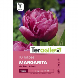 Tulipe double hâtive margarita - Calibre 12/+ - X10
