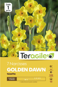 Narcisse tazetta geranium - Calibre 14/16 - X7