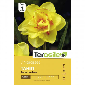 Narcisse double tahiti - Calibre 14/16 - X7