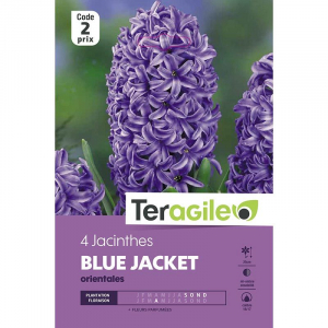 Jacinthe blue jacket - Calibre 16/17 - X 4