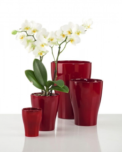 Vase pour orchidée 608 - Deroma - Dark red - Ø 17 cm