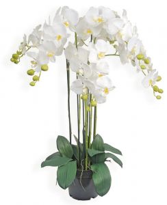 Pot Orchidées - Arche Diffusion - Blanc - 52 cm