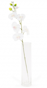 Phalaenopsis - Arche Diffusion - Blanc - 85 cm