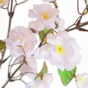 Cerisier - Arche Diffusion - Rose - 77 cm