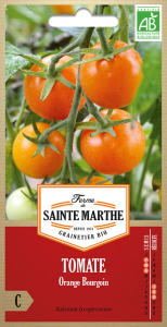 Tomate orange bourgoin - Bio