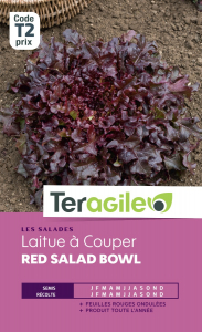 Laitue à couper red salad bowl - Graines - Teragile