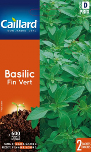 Basilic fin vert - Graines - Teragile