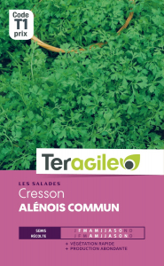 Cresson alénois commun - Graines - Teragile