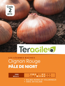 Oignon rouge pale de niort - Graines - Teragile