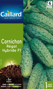 Cornichon regard hybride F1 - Graines -Caillard
