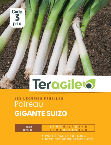 Poireau swiss giant vert - Graines - Teragile