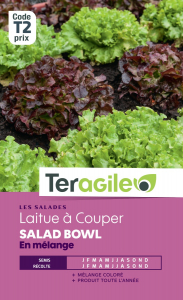 Laitue à couper salad bowl varié - Graines - Teragile