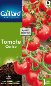 Tomate cerise - Graines - Caillard