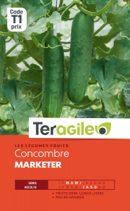 Concombre marketer - Graines - Teragile