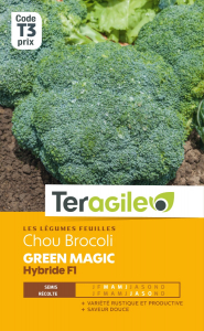 Chou brocoli green magic F1 - Graines -Teragile