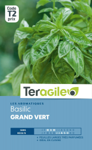 Basilic grand vert - Graines - Teragile