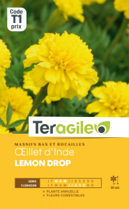 Oeillet d'Inde Lemon drop - Graines - Teragile