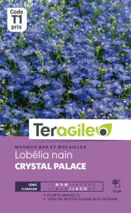 Lobelia nain Crystal palace - Graines -Teragile